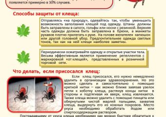 Осторожно клещи!