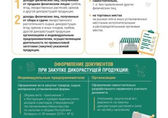 Важно знать в сезон сбора ягод и грибов