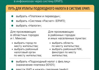 Способы уплаты подоходного налога