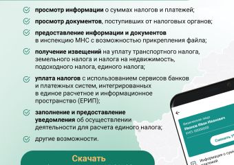 Мобильное приложение 