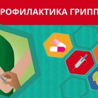 Профилактика гриппа