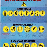 Профилактика гриппа